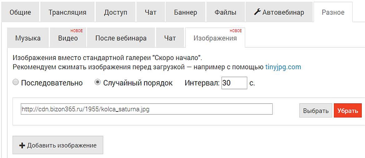 Bizon365 - свои изображения