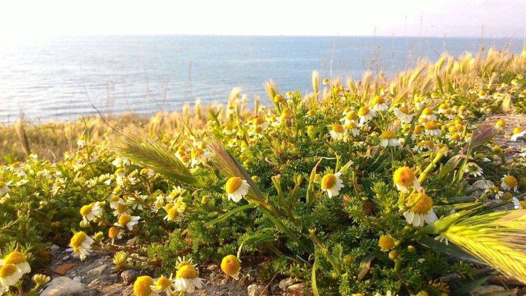 photo_2016-11-14_14-21-16